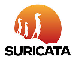 Snort / Suricata